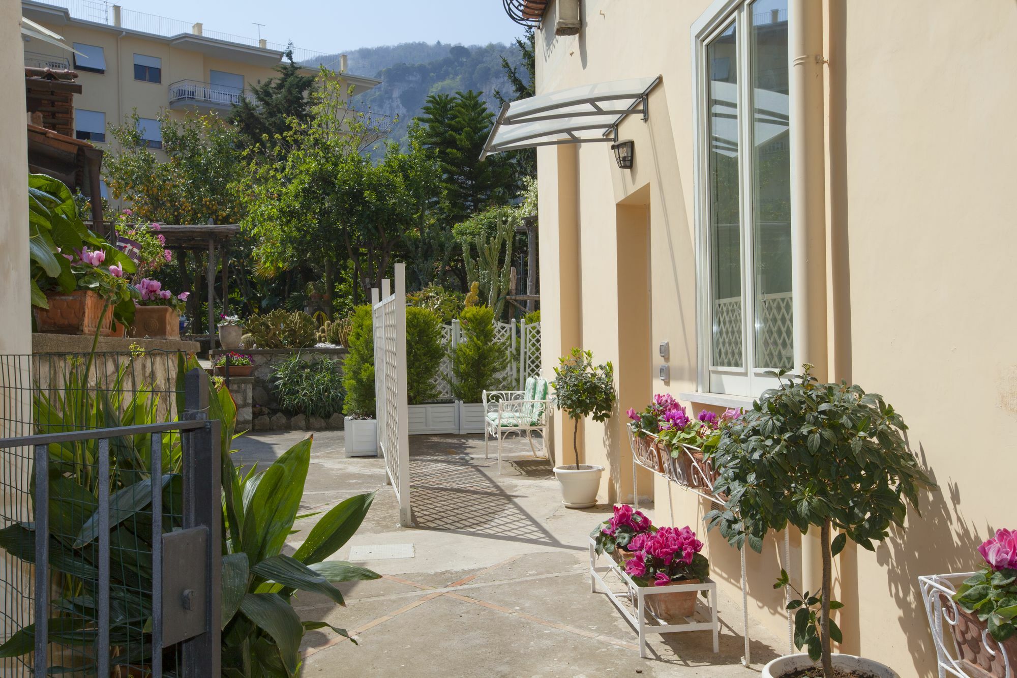 Dreaming Sorrento Suites Bagian luar foto